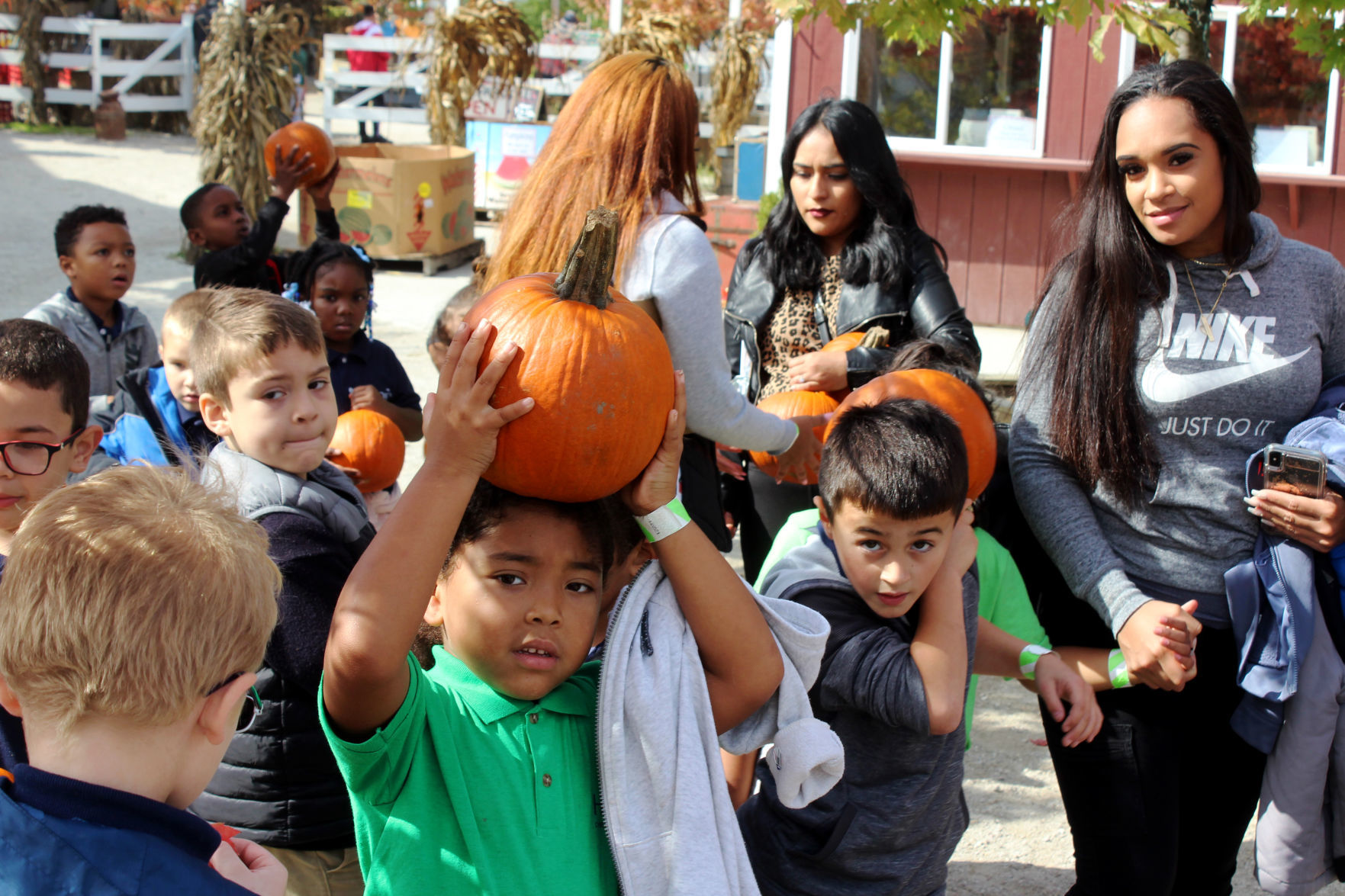 Pumpkin carriers